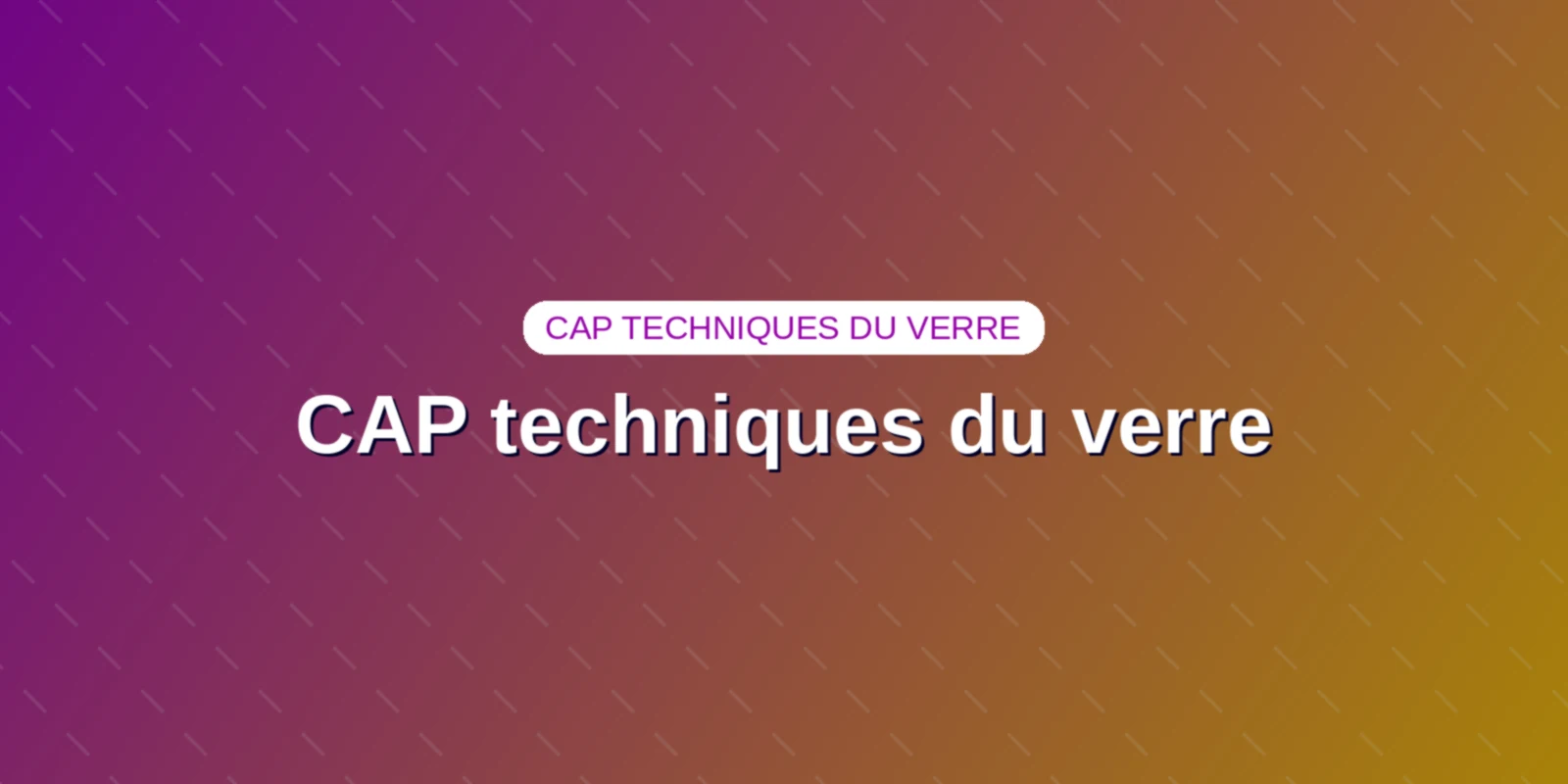 CAP techniques du verre : options, programme et métiers Couverture : Programme complet, options et métiers du CAP Arts et techniques du verre